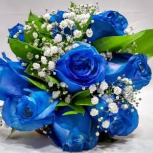 Buquê de Rosas Azul - Floricultura Cuiabá